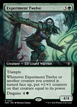 Experiment Twelve<br /><span class="collector-number">Collector No. 347</span>