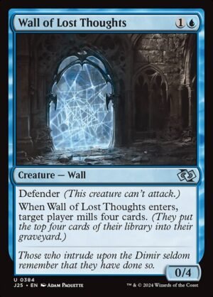 Wall of Lost Thoughts<br /><span class="collector-number">Collector No. 384</span>