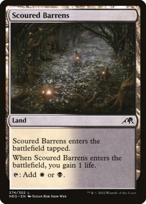 Scoured Barrens<br /><span class="collector-number">Collector No. 274</span>