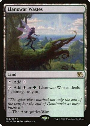 Llanowar Wastes - Foil<br /><span class="collector-number">Collector No. 264</span>