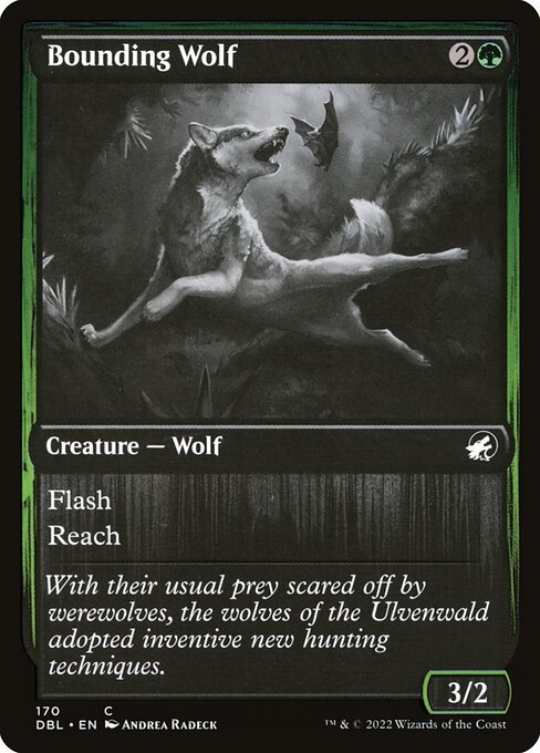 Bounding Wolf<br /><span class="collector-number">Collector No. 170</span>