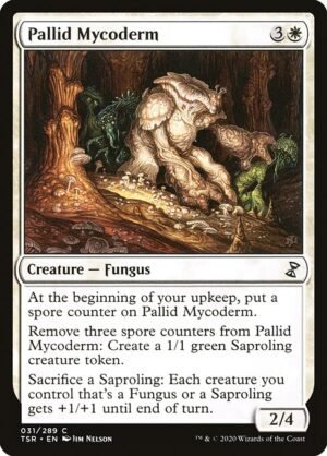 Pallid Mycoderm<br /><span class="collector-number">Collector No. 31</span>