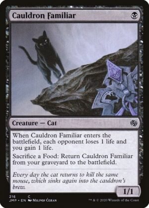 Cauldron Familiar<br /><span class="collector-number">Collector No. 216</span>