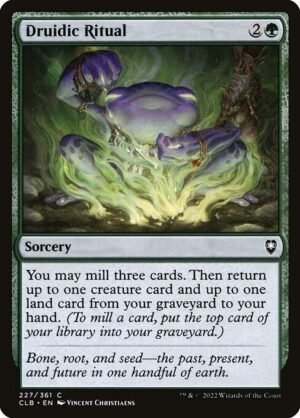 Druidic Ritual<br /><span class="collector-number">Collector No. 227</span>