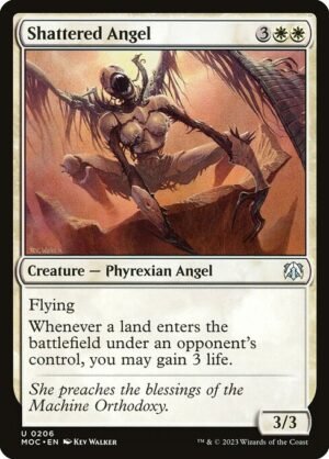Shattered Angel<br /><span class="collector-number">Collector No. 206</span>