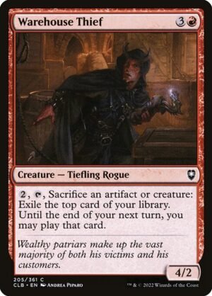 Warehouse Thief<br /><span class="collector-number">Collector No. 205</span>