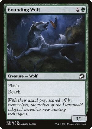 Bounding Wolf<br /><span class="collector-number">Collector No. 170</span>