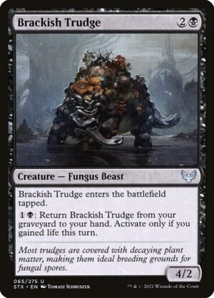 Brackish Trudge<br /><span class="collector-number">Collector No. 65</span>