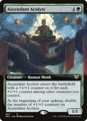 Ascendant Acolyte<br /><span class="collector-number">Collector No. 64</span>