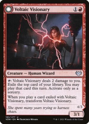 Voltaic Visionary // Volt-Charged Berserker<br /><span class="collector-number">Collector No. 183</span>