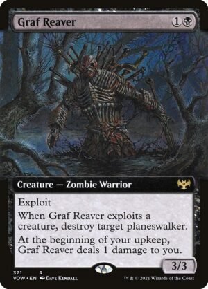 Graf Reaver<br /><span class="collector-number">Collector No. 371</span>