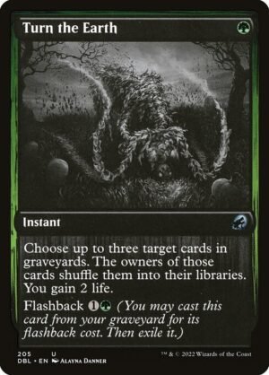 Turn the Earth<br /><span class="collector-number">Collector No. 205</span>