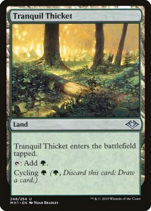 Tranquil Thicket<br /><span class="collector-number">Collector No. 248</span>