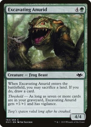 Excavating Anurid<br /><span class="collector-number">Collector No. 163</span>