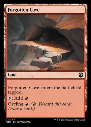 Forgotten Cave<br /><span class="collector-number">Collector No. 343</span>