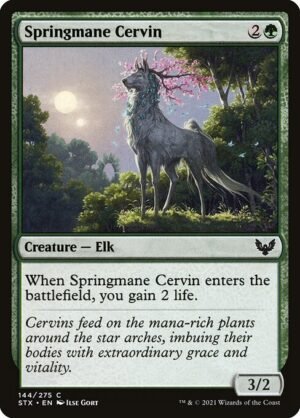 Springmane Cervin<br /><span class="collector-number">Collector No. 144</span>