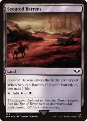 Scoured Barrens<br /><span class="collector-number">Collector No. 293</span>
