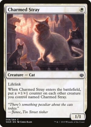 Charmed Stray<br /><span class="collector-number">Collector No. 8</span>