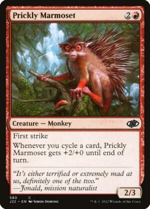 Prickly Marmoset<br /><span class="collector-number">Collector No. 580</span>