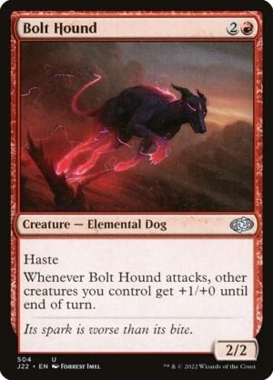 Bolt Hound<br /><span class="collector-number">Collector No. 504</span>