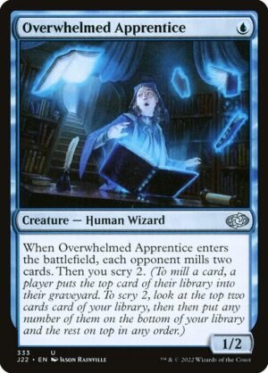 Overwhelmed Apprentice<br /><span class="collector-number">Collector No. 333</span>