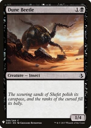 Dune Beetle<br /><span class="collector-number">Collector No. AKH-89</span>