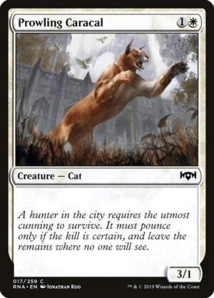 Prowling Caracal<br /><span class="collector-number">Collector No. 17</span>