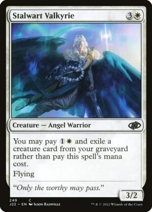 Stalwart Valkyrie<br /><span class="collector-number">Collector No. 249</span>
