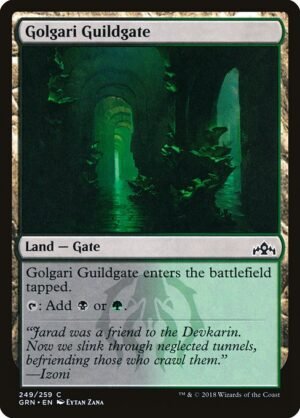 Golgari Guildgate<br /><span class="collector-number">Collector No. 249</span>