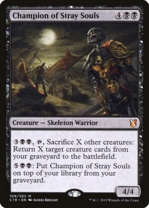 Champion of Stray Souls<br /><span class="collector-number">Collector No. 109</span>