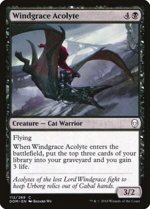 Windgrace Acolyte<br /><span class="collector-number">Collector No. 112</span>