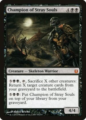 Champion of Stray Souls<br /><span class="collector-number">Collector No. 63</span>