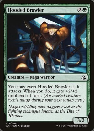 Hooded Brawler<br /><span class="collector-number">Collector No. 173</span>