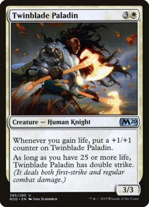 Twinblade Paladin<br /><span class="collector-number">Collector No. 285</span>