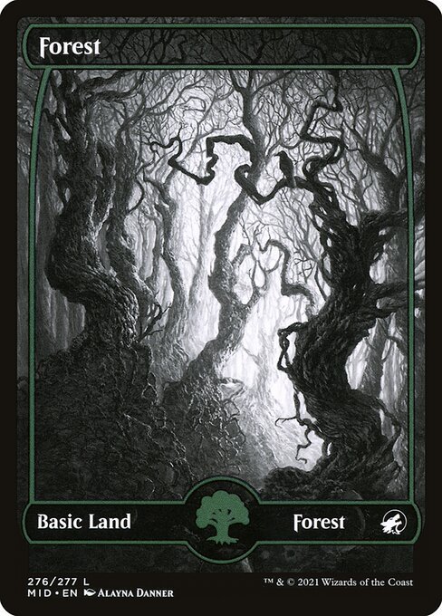 Forest<br /><span class="collector-number">Collector No. 276</span>