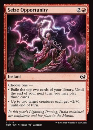 Seize Opportunity - Foil<br /><span class="collector-number">Collector No. 119</span>