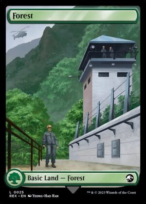 Forest<br /><span class="collector-number">Collector No. 25</span>