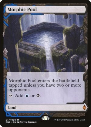 Morphic Pool<br /><span class="collector-number">Collector No. 17</span>