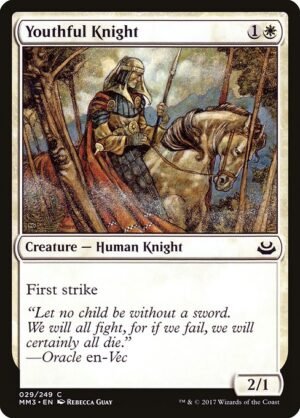 Youthful Knight<br /><span class="collector-number">Collector No. 29</span>