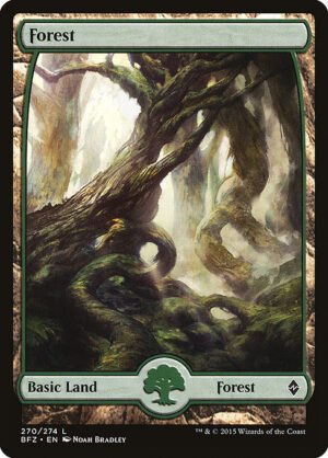 Forest<br /><span class="collector-number">Collector No. 270</span>