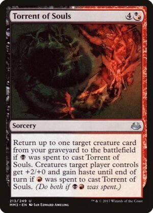 Torrent of Souls<br /><span class="collector-number">Collector No. 213</span>