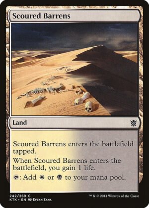 Scoured Barrens<br /><span class="collector-number">Collector No. 242</span>