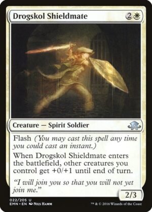 Drogskol Shieldmate<br /><span class="collector-number">Collector No. 22</span>