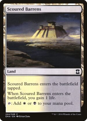 Scoured Barrens<br /><span class="collector-number">Collector No. 244</span>