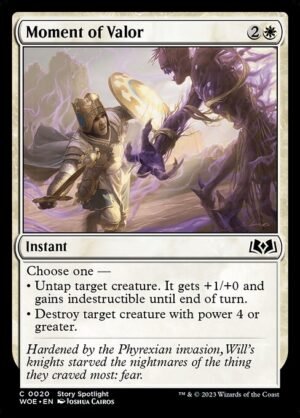 Moment of Valor - Foil<br /><span class="collector-number">Collector No. 20</span>