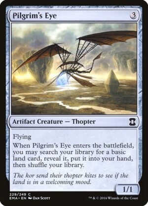 Pilgrim's Eye<br /><span class="collector-number">Collector No. 229</span>