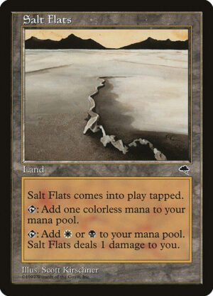 Salt Flats<br /><span class="collector-number">Collector No. 324</span>
