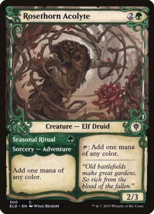Rosethorn Acolyte // Seasonal Ritual - Foil<br /><span class="collector-number">Collector No. 300</span>