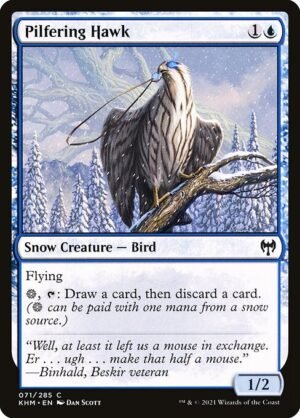 Pilfering Hawk - Foil<br /><span class="collector-number">Collector No. 71</span>