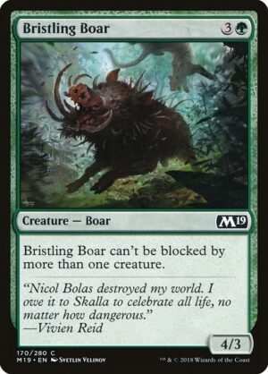 Bristling Boar<br /><span class="collector-number">Collector No. 170</span>